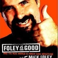 Foley Is Good Book