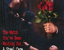 Wwf St Valentines Day Massacre 1999 Classic Cover