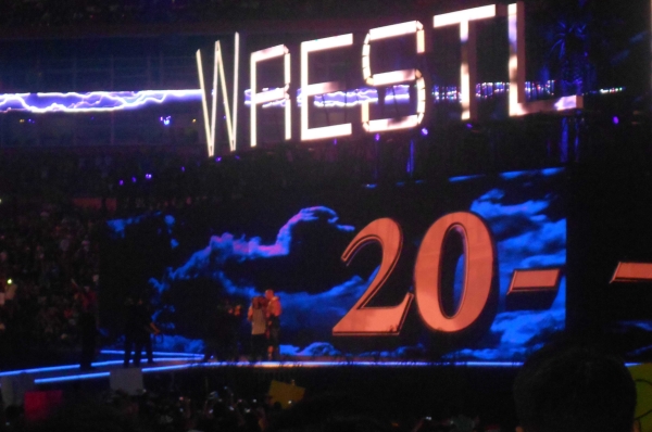 Wwe Wrestlemania 28 Undertaker Triple H