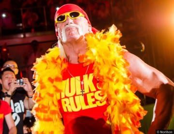 110714 Wwe Hulk Hogan 2
