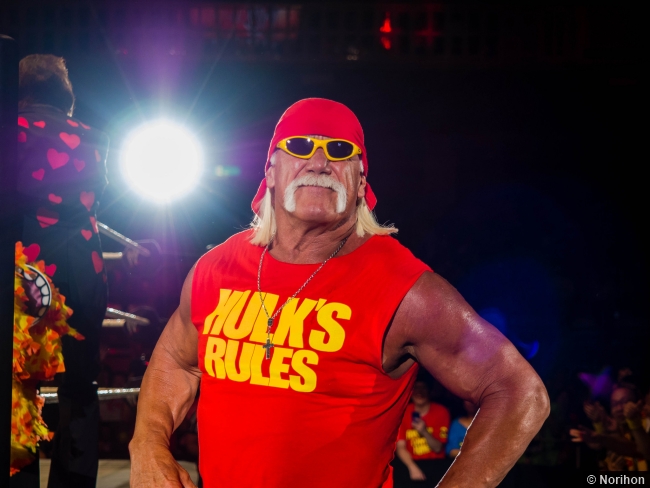 110714 Wwe Hulk Hogan 3