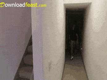 Gif Ghost 2