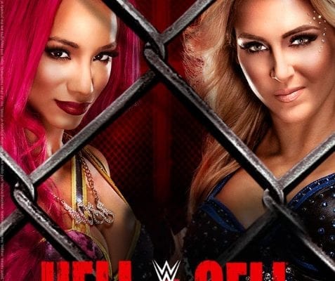 Wwe Hell In A Cell 2016 Poster
