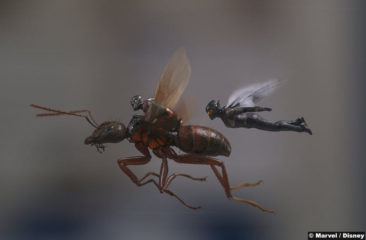 Ant Man Wasp Paul Rudd Evangeline Lilly 3