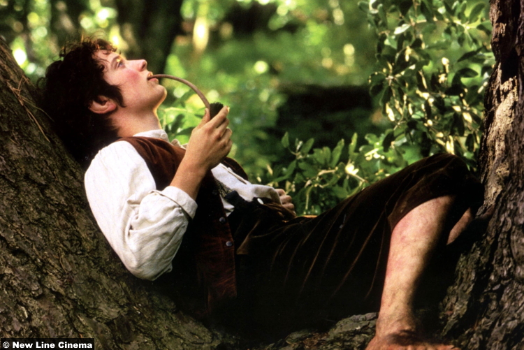 Lord of the Rings: Fellowship of the Ring: Elijah Wood as Frodo